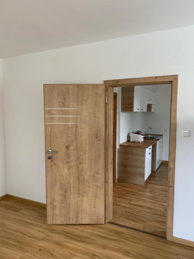 Apartmany Bolevec Plzen Pro Rodiny S Detmi A Zviratky Exterior foto